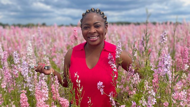 Escape to the Country S24E41